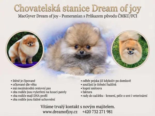 Pomeranian s PP ČMKU/FCI